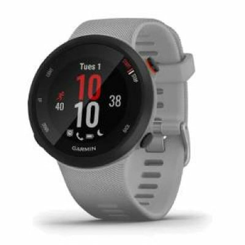 Smartwatch GARMIN Forerunner 45 Plus Cinzento 1,04" Ø 42 mm