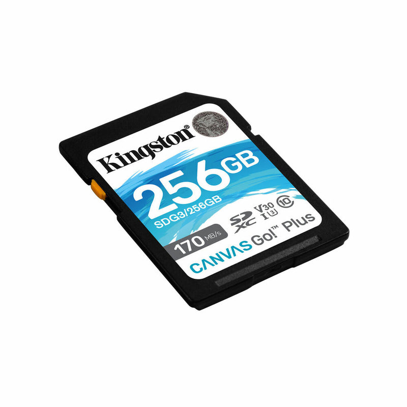 Cartão de Memória SD Kingston SDG3/256GB 256GB 256 GB